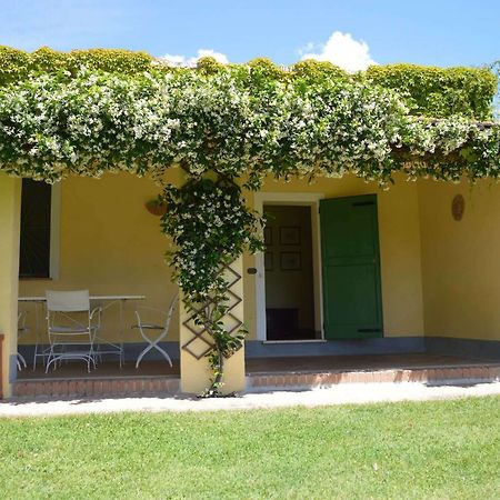 Agriturismo La Godiola Castiglione del Lago Ngoại thất bức ảnh